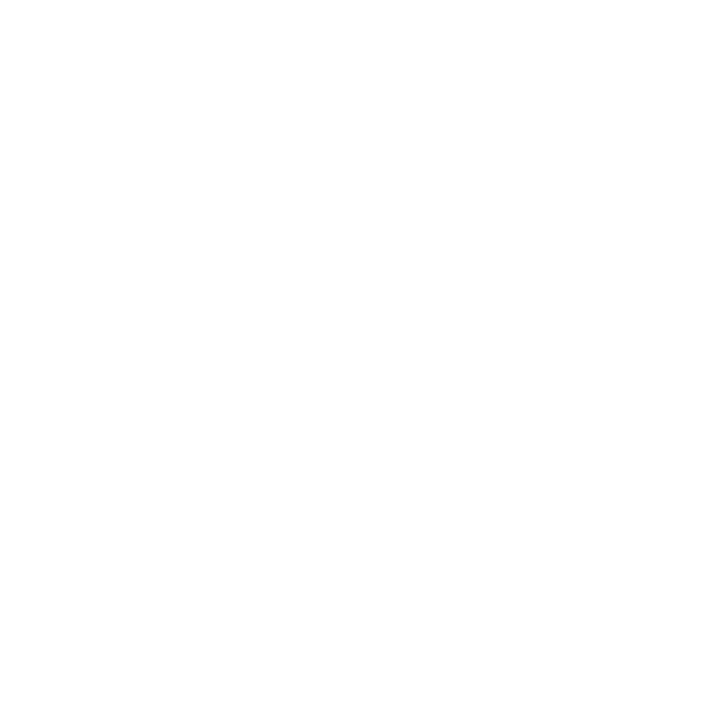 Pegasus Groupe